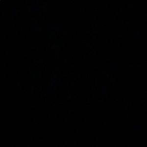 Meet your Posher, Zach